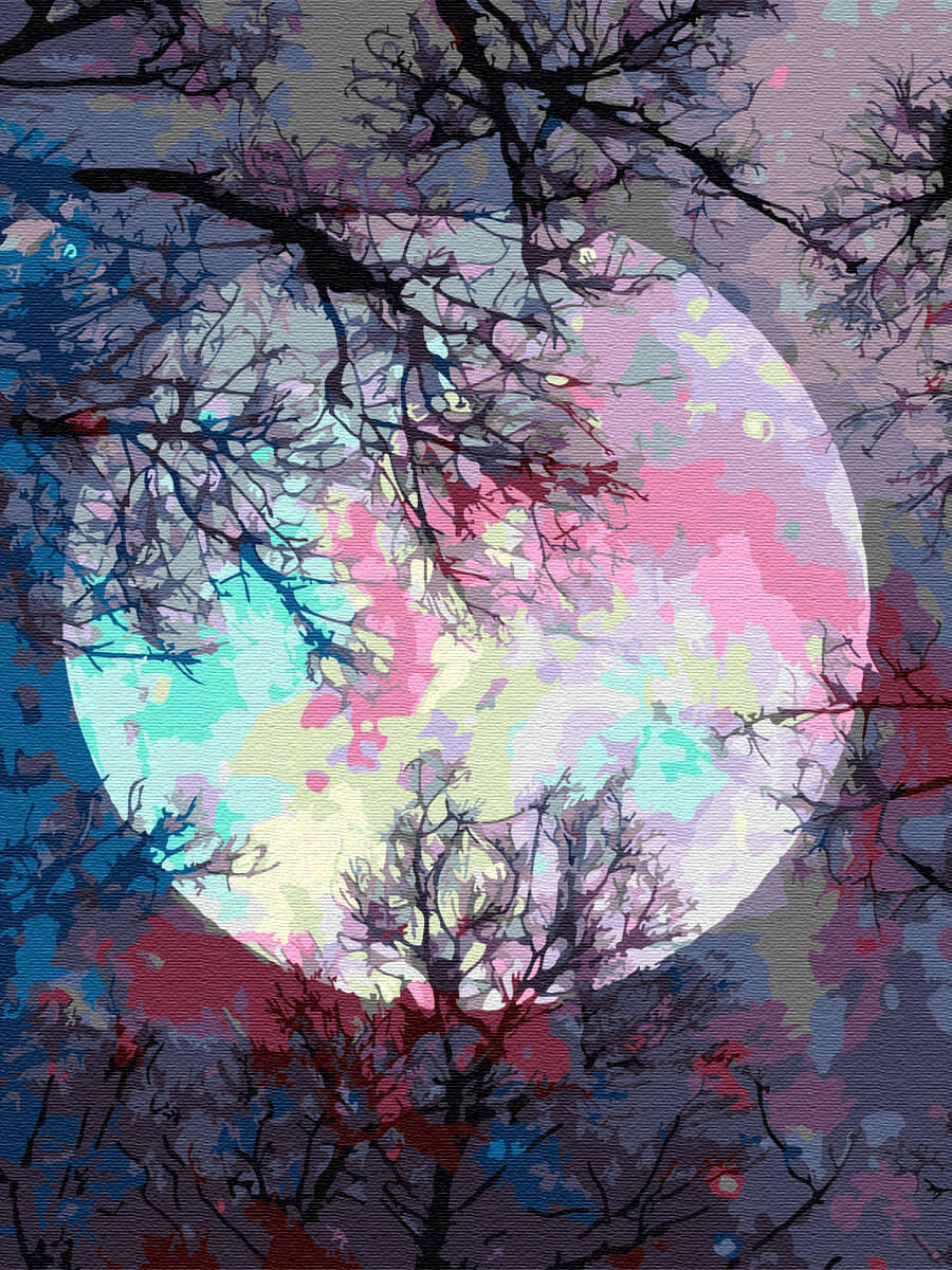 Картина по номерам Неоновая луна EX6362, на холсте 30x40, подрамнике, с  акриловыми красками - купить в г. Москва, цена 1 410 руб. в  интернет-магазине «Цветной мир ярких идей»