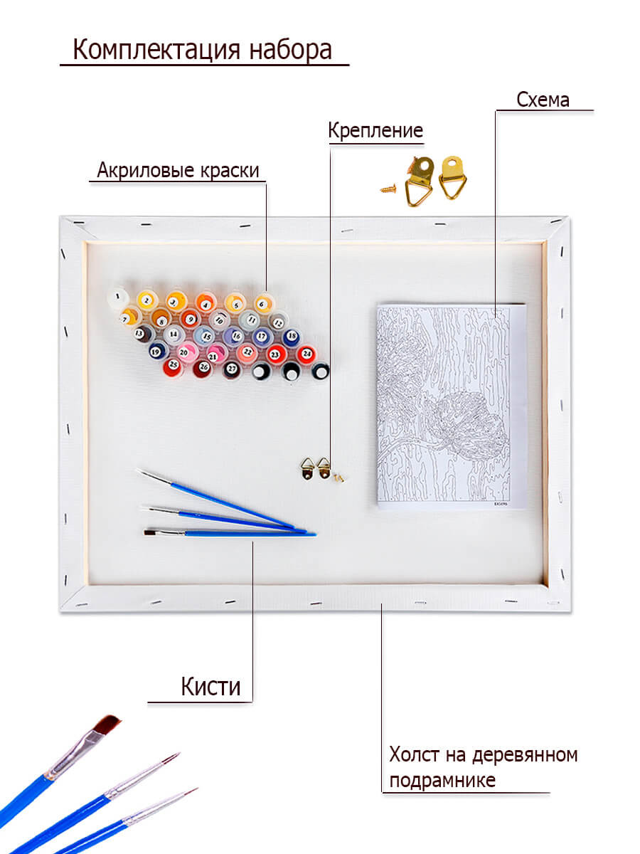 Картина по номерам Танцующая балерина GX29767, на холсте 40x50, подрамнике,  с акриловыми красками - купить в г. Москва, цена 1 730 руб. в  интернет-магазине «Цветной мир ярких идей»